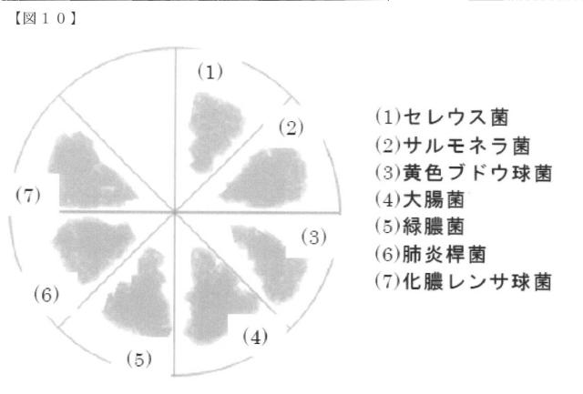 2019077720-ハイドロキシアパタイト誘導体粒子群 図000019