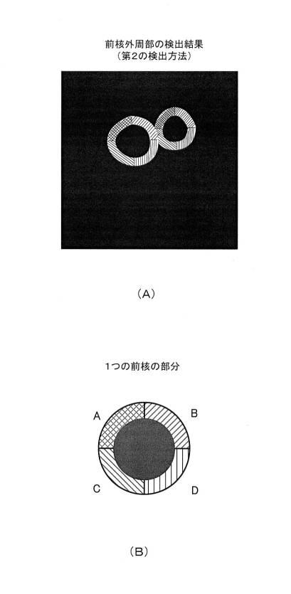 2019091308-対象物検出器、画像解析装置、対象物検出方法、画像解析方法、プログラム、及び、学習データ 図000019