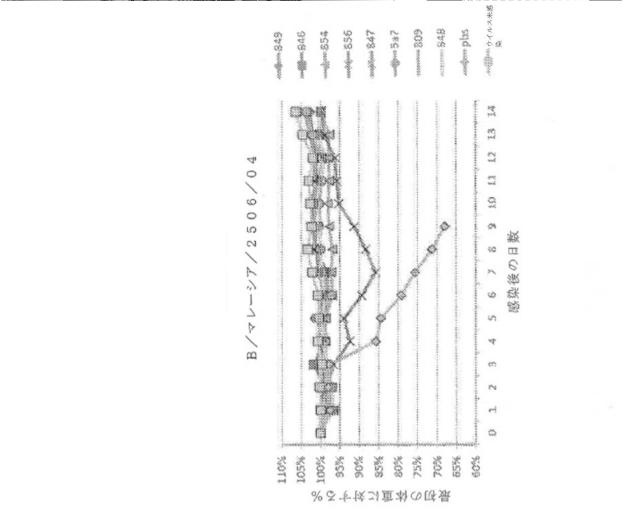 2020096618-インフルエンザ受動免疫に有用な抗体ならびにその使用のための組成物、組合せおよび方法 図000019