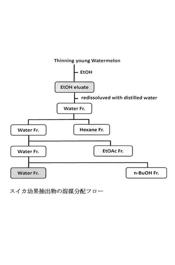 2020203885-スイカ由来の新規化合物とそれを用いた組成物 図000019