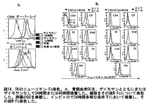 2016183163-抗体、アゴニストおよびアンタゴニストを用いてニューリチン遺伝子をターゲティングすることによる調節性Ｔ細胞およびＤＣの機能の操作 図000020