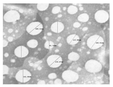 2019031561-抗菌薬の組成物および製剤、その製造法および微生物感染症の治療方法 図000020