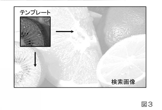 2019033960-生体内運動追跡装置、生体内運動追跡方法およびプログラム 図000020