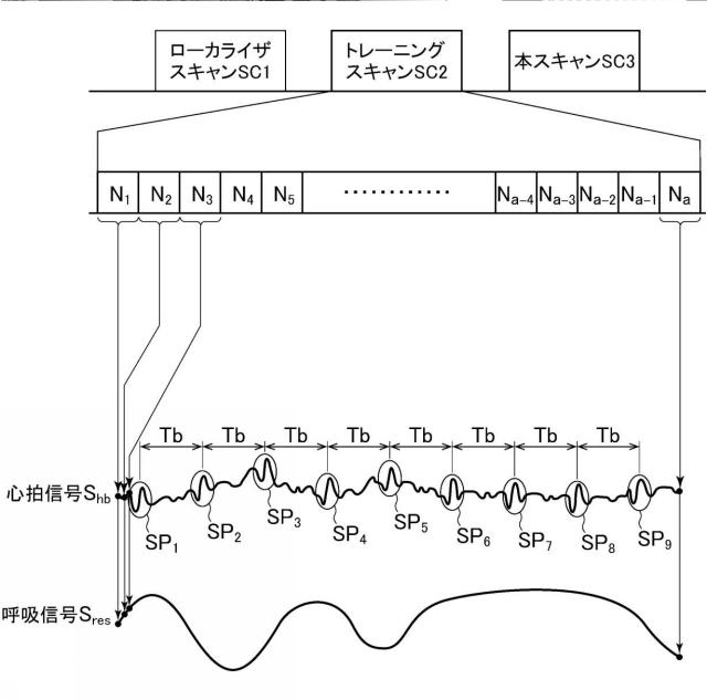 2019097820-磁気共鳴イメージング装置およびプログラム 図000020