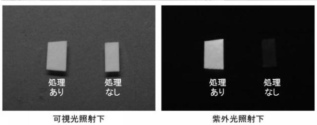 2020002234-アミノ化セルロース及びアミノ化セルロースの製造方法 図000020