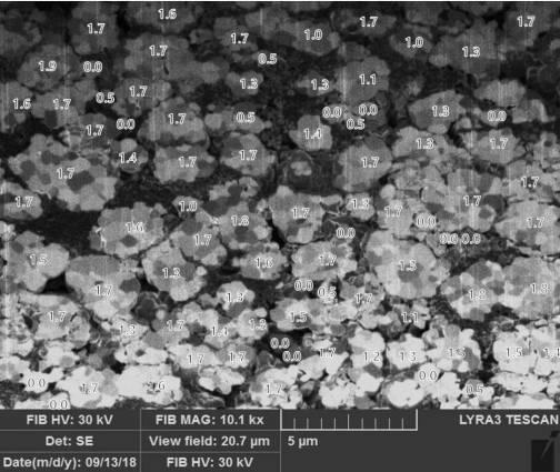 2020077611-リチウム二次電池用正極活物質およびこれを含むリチウム二次電池 図000020