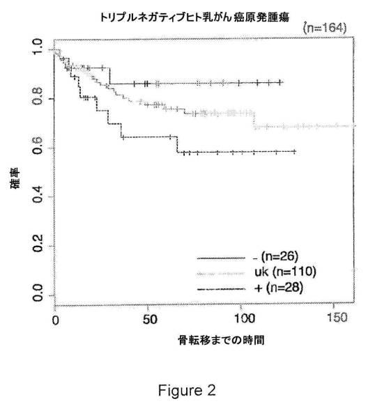 2021007408-がん転移の予後診断および処置のための方法 図000020