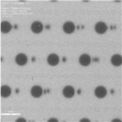 2021075043-積層体及びその製造方法、並びに硬化型液組成物セット、インクジェット印刷装置、及びインクジェット印刷方法 図000020