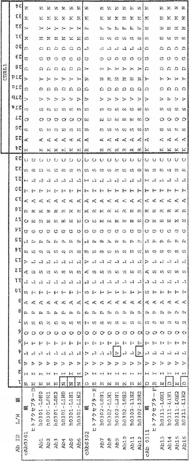 2017221215-ＣＳＦ１Ｒに結合する抗体 図000021