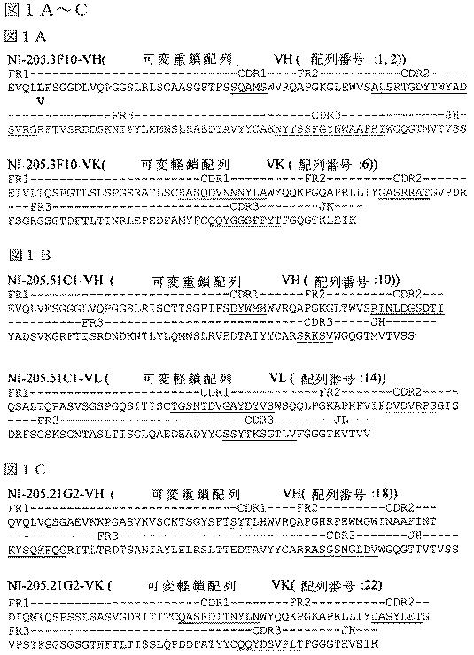 2019022500-ＴＤＰ−４３に特異的な結合分子 図000021