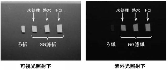 2020002234-アミノ化セルロース及びアミノ化セルロースの製造方法 図000021