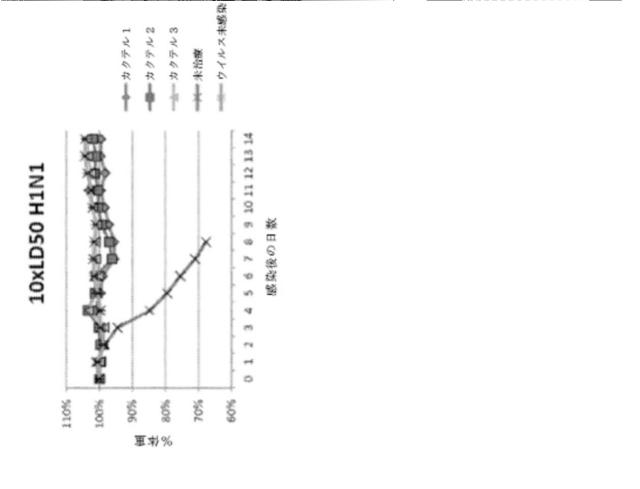 2020096618-インフルエンザ受動免疫に有用な抗体ならびにその使用のための組成物、組合せおよび方法 図000021