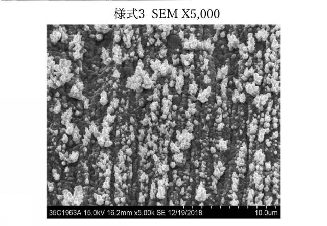 2020200534-背面処理電解銅箔及びそれを用いた銅箔基板 図000021