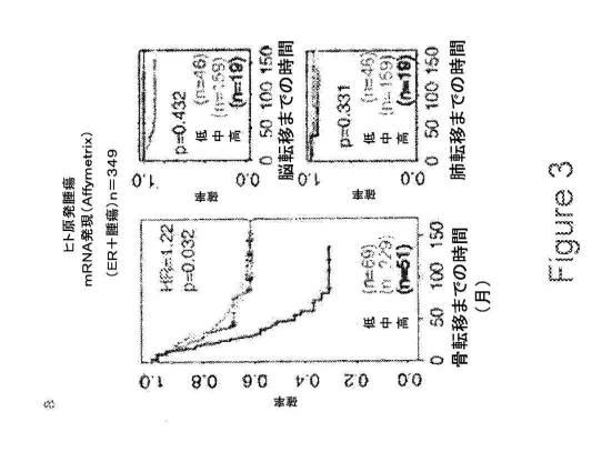 2021007408-がん転移の予後診断および処置のための方法 図000021