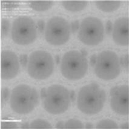 2021075043-積層体及びその製造方法、並びに硬化型液組成物セット、インクジェット印刷装置、及びインクジェット印刷方法 図000021