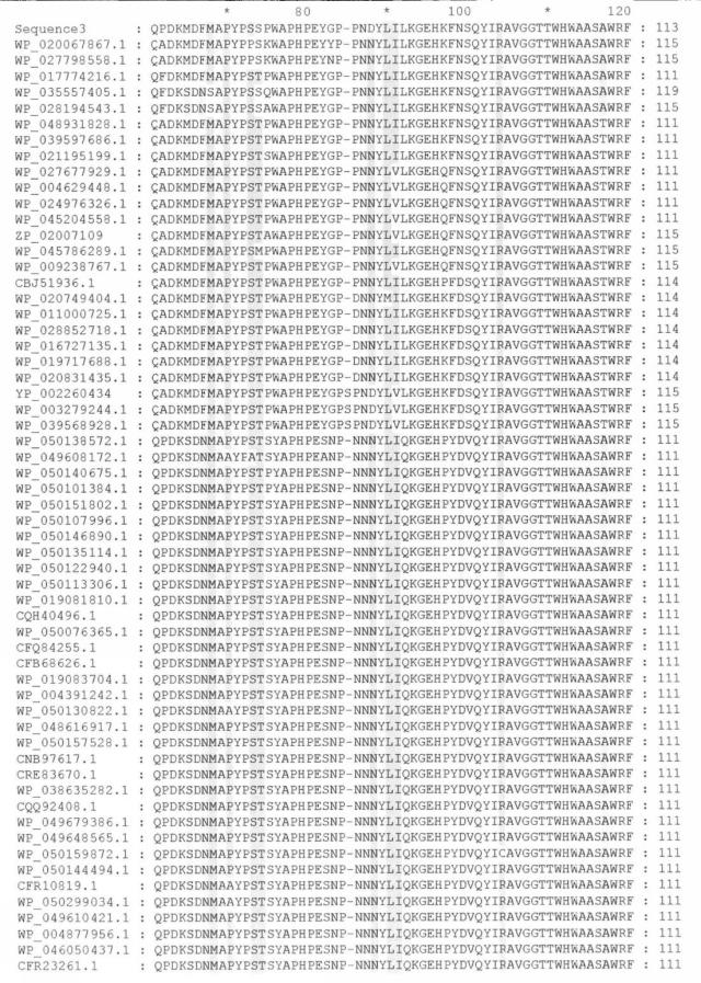 2017079721-変異グルコース脱水素酵素およびその利用 図000022