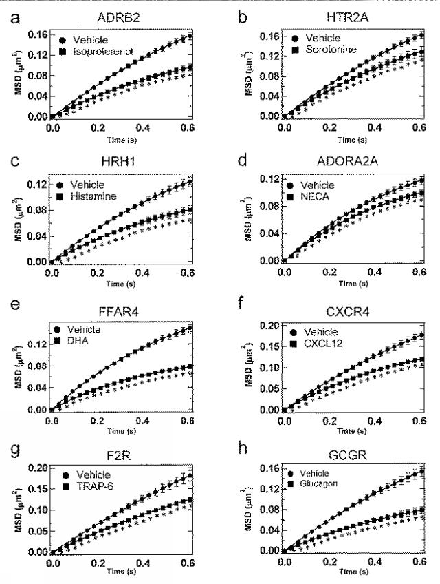 2018179946-Ｇタンパク質共役型受容体（ＧＰＣＲ）の活性評価方法 図000022