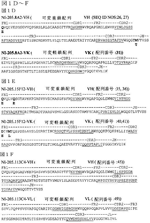 2019022500-ＴＤＰ−４３に特異的な結合分子 図000022