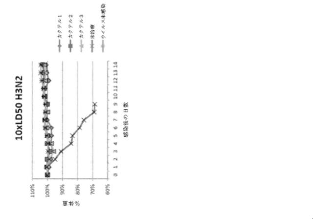 2020096618-インフルエンザ受動免疫に有用な抗体ならびにその使用のための組成物、組合せおよび方法 図000022