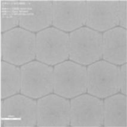 2021075043-積層体及びその製造方法、並びに硬化型液組成物セット、インクジェット印刷装置、及びインクジェット印刷方法 図000022