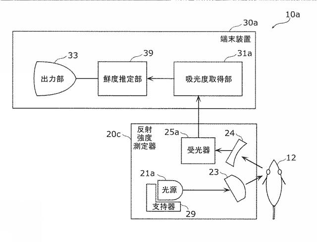 2015232543-魚の鮮度推定方法及び鮮度推定装置 図000023