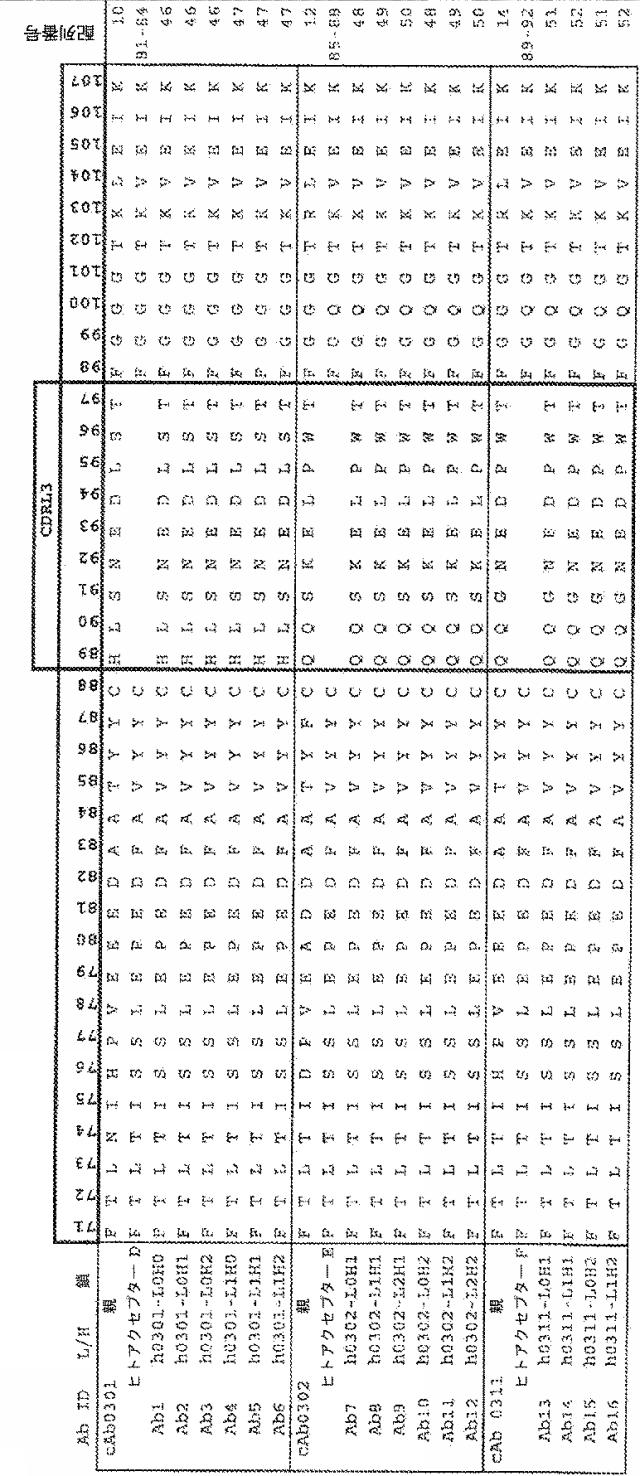 2017221215-ＣＳＦ１Ｒに結合する抗体 図000023