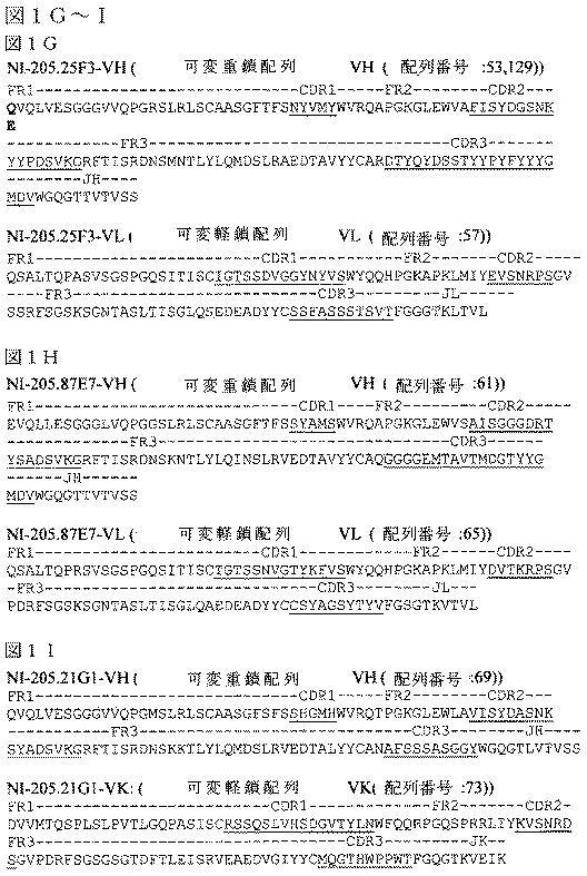 2019022500-ＴＤＰ−４３に特異的な結合分子 図000023