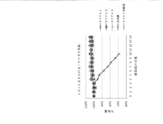 2020096618-インフルエンザ受動免疫に有用な抗体ならびにその使用のための組成物、組合せおよび方法 図000023