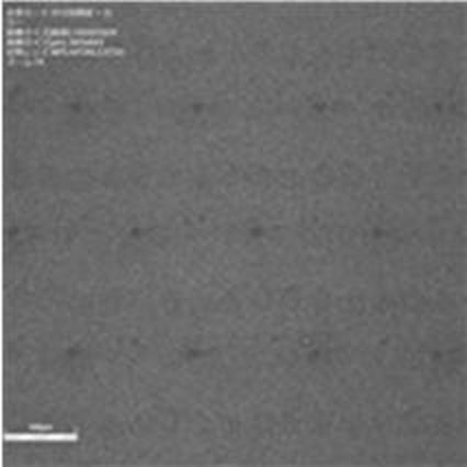 2021075043-積層体及びその製造方法、並びに硬化型液組成物セット、インクジェット印刷装置、及びインクジェット印刷方法 図000023