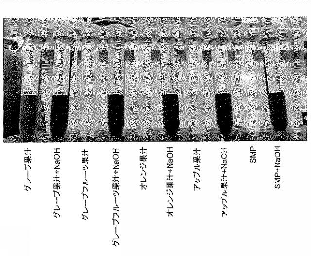 2017221156-ストレプトコッカス・サーモフィルス発酵促進剤 図000024