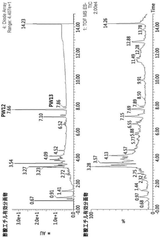 2018162247-ピスタキア  ウェインマニフォリア抽出物、その分画物またはこれらから分離された化合物を含む慢性閉塞性肺疾患（ＣＯＰＤ）の予防または治療用薬学的組成物 図000024