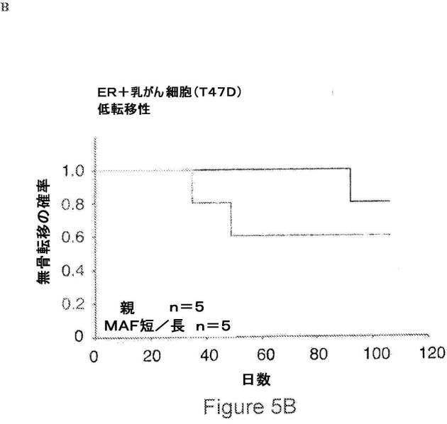 2021007408-がん転移の予後診断および処置のための方法 図000024