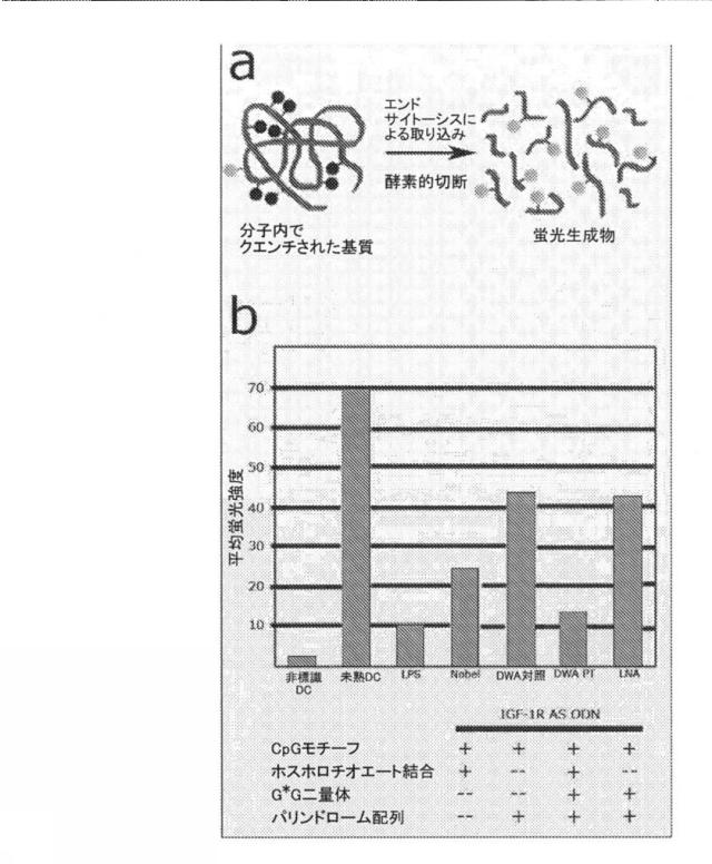 2021193143-免疫調節性Ｍ２単球を選択的に低減することによってがんを治療し、治療的免疫を増強するための方法および組成物 図000024