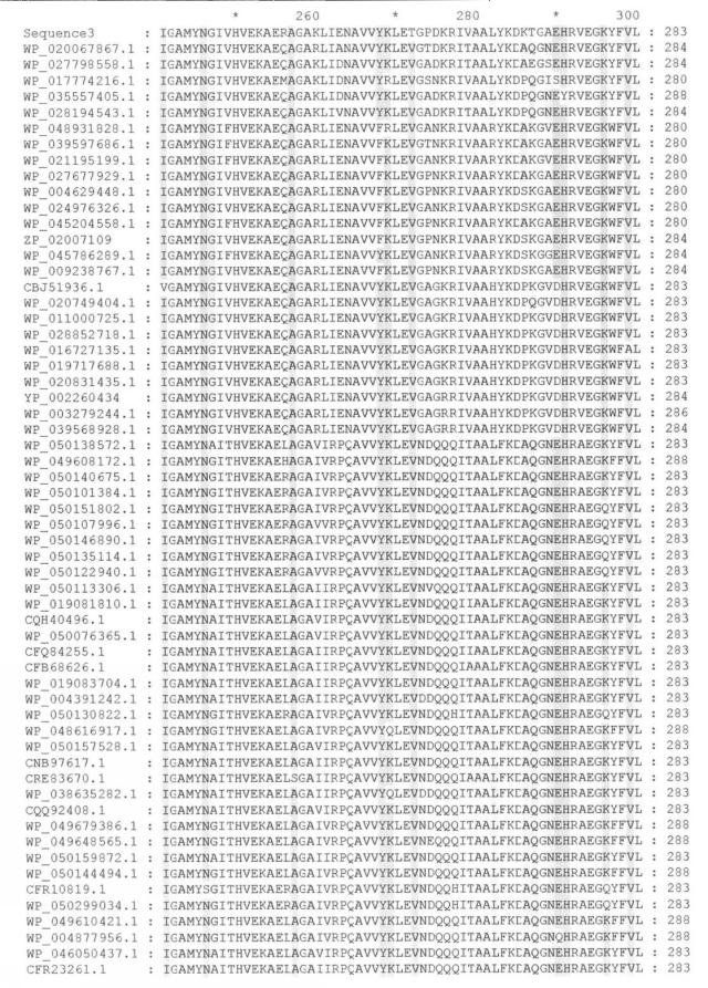 2017079721-変異グルコース脱水素酵素およびその利用 図000025