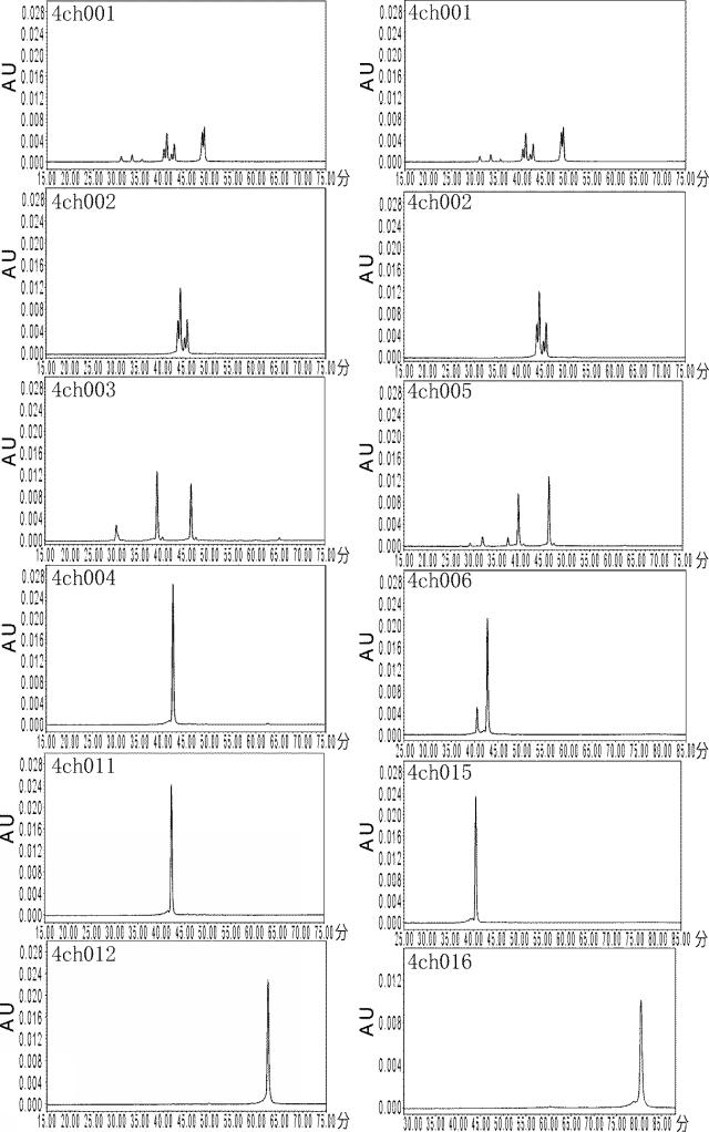 2017212981-重鎖と軽鎖の会合が制御された抗原結合分子 図000025