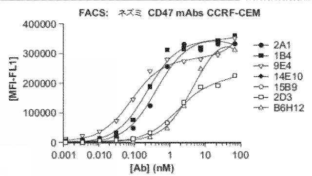 2018177813-血小板非減少性かつ赤血球非減少性ＣＤ４７抗体及びその使用方法 図000025