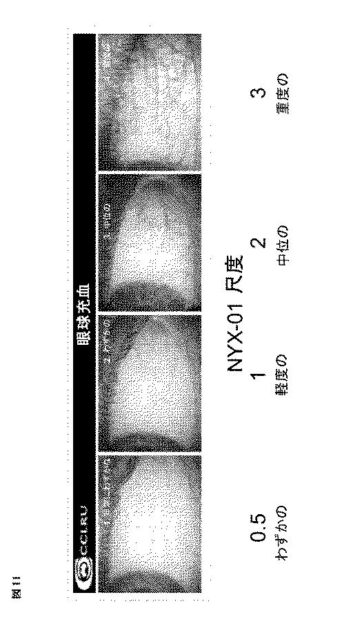 2019048836-視機能を改善するためのフェントラミンの連日眼科投与のための方法および組成物 図000025