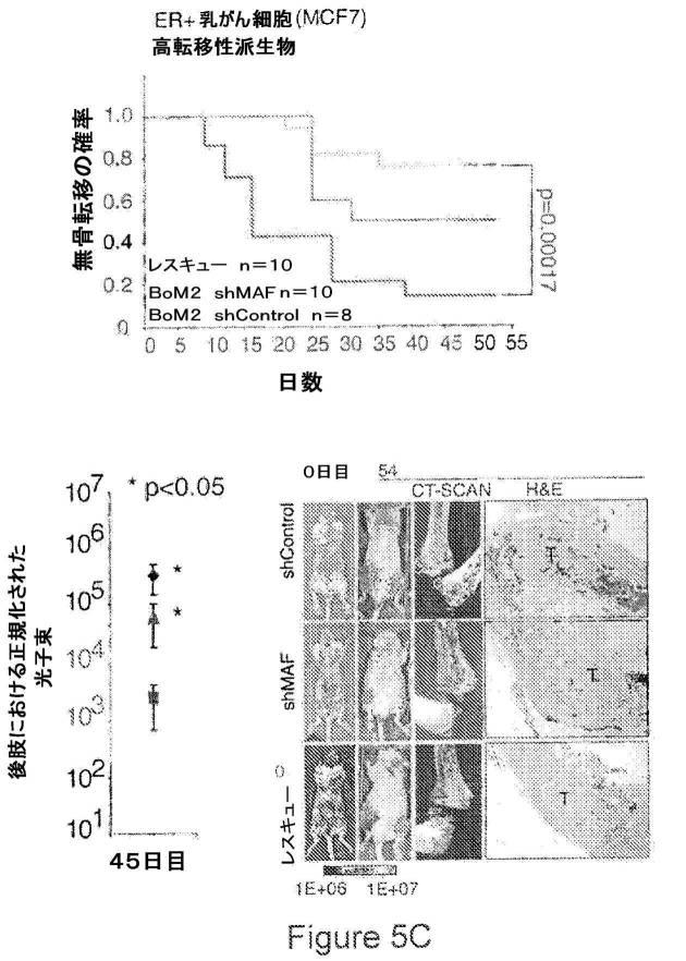 2021007408-がん転移の予後診断および処置のための方法 図000025