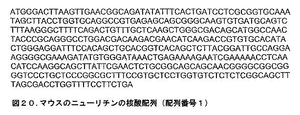 2016183163-抗体、アゴニストおよびアンタゴニストを用いてニューリチン遺伝子をターゲティングすることによる調節性Ｔ細胞およびＤＣの機能の操作 図000026