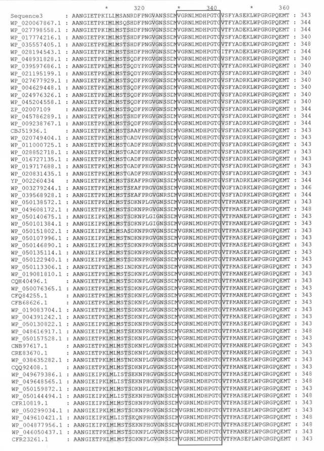 2017079721-変異グルコース脱水素酵素およびその利用 図000026