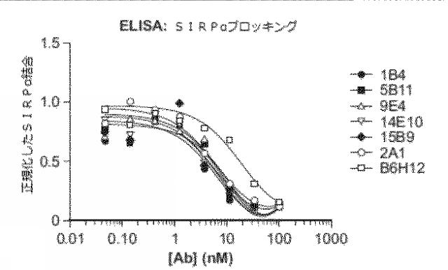 2018177813-血小板非減少性かつ赤血球非減少性ＣＤ４７抗体及びその使用方法 図000026