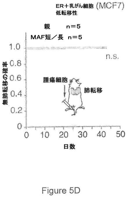 2021007408-がん転移の予後診断および処置のための方法 図000026