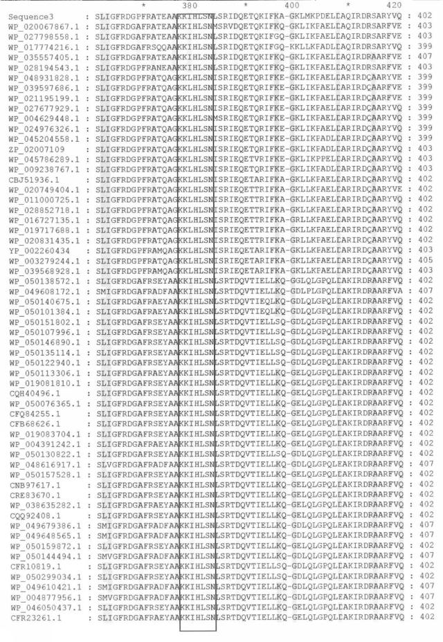 2017079721-変異グルコース脱水素酵素およびその利用 図000027