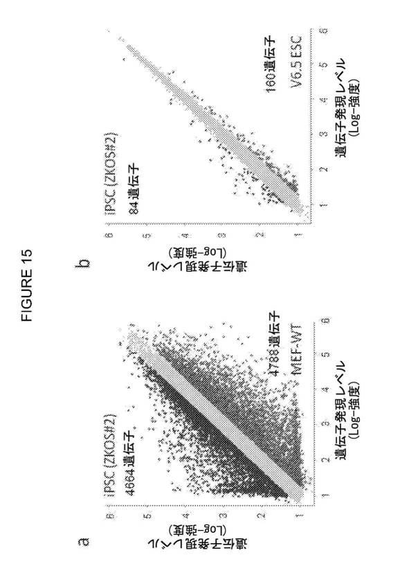 2017212985-ＺＳＣＡＮ４とＺＳＣＡＮ４依存性遺伝子を利用した体細胞の直接的な再プログラム化 図000027