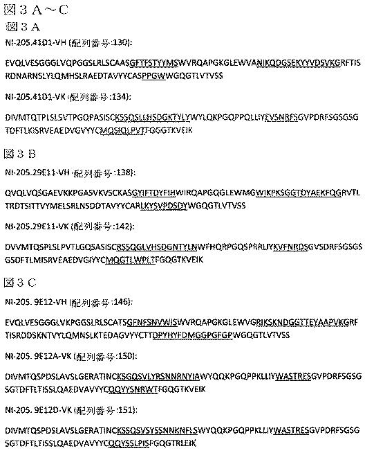 2019022500-ＴＤＰ−４３に特異的な結合分子 図000027