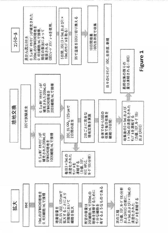 2020073503-タンパク質産生方法 図000027