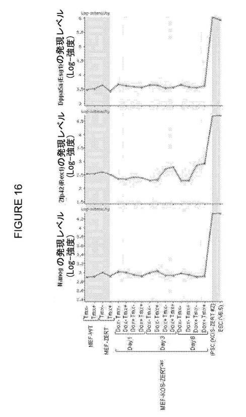 2017212985-ＺＳＣＡＮ４とＺＳＣＡＮ４依存性遺伝子を利用した体細胞の直接的な再プログラム化 図000028