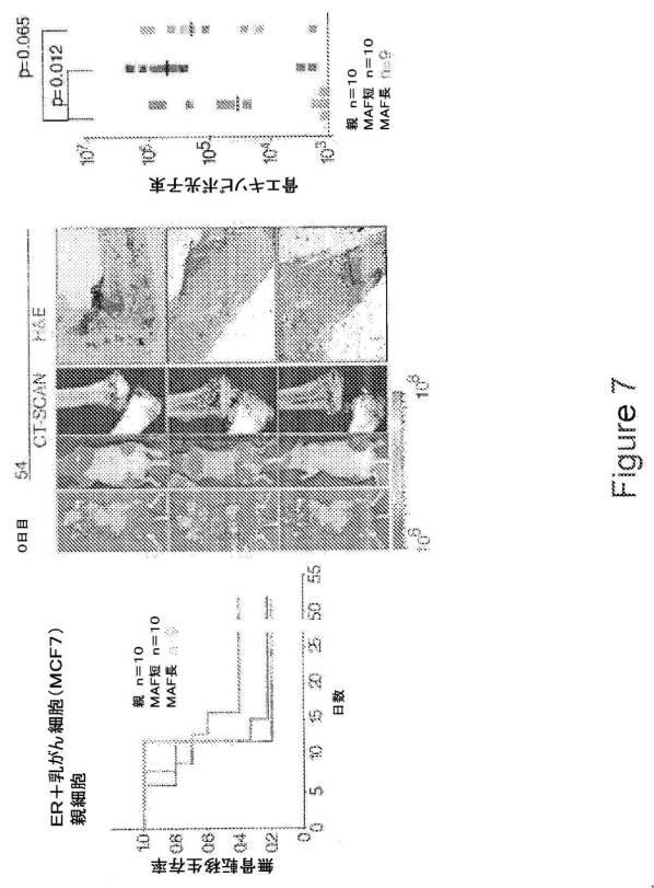 2021007408-がん転移の予後診断および処置のための方法 図000028