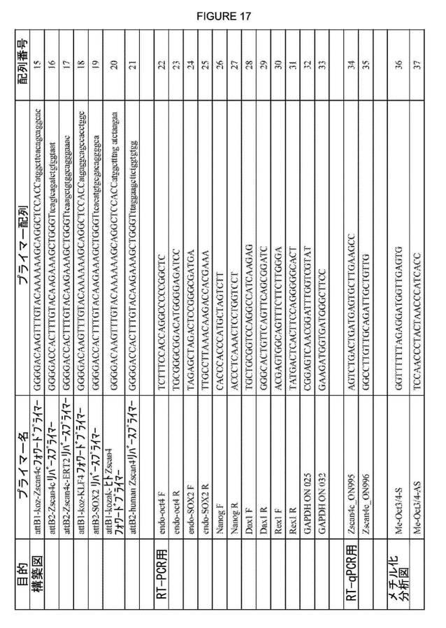 2017212985-ＺＳＣＡＮ４とＺＳＣＡＮ４依存性遺伝子を利用した体細胞の直接的な再プログラム化 図000029