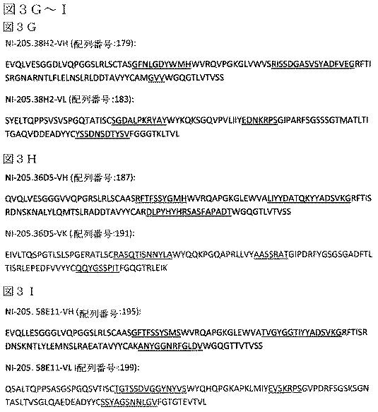 2019022500-ＴＤＰ−４３に特異的な結合分子 図000029